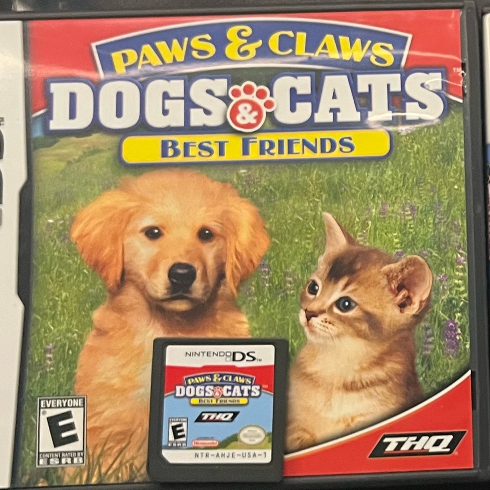 Nintendo DS Games